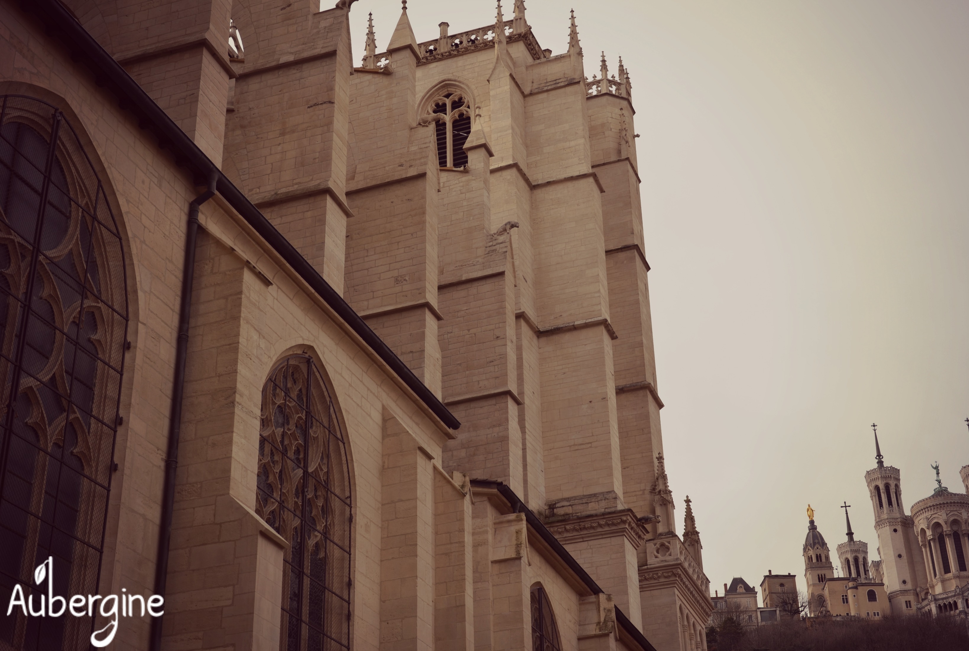 aubergine - catedrala saint jean baptiste (1)